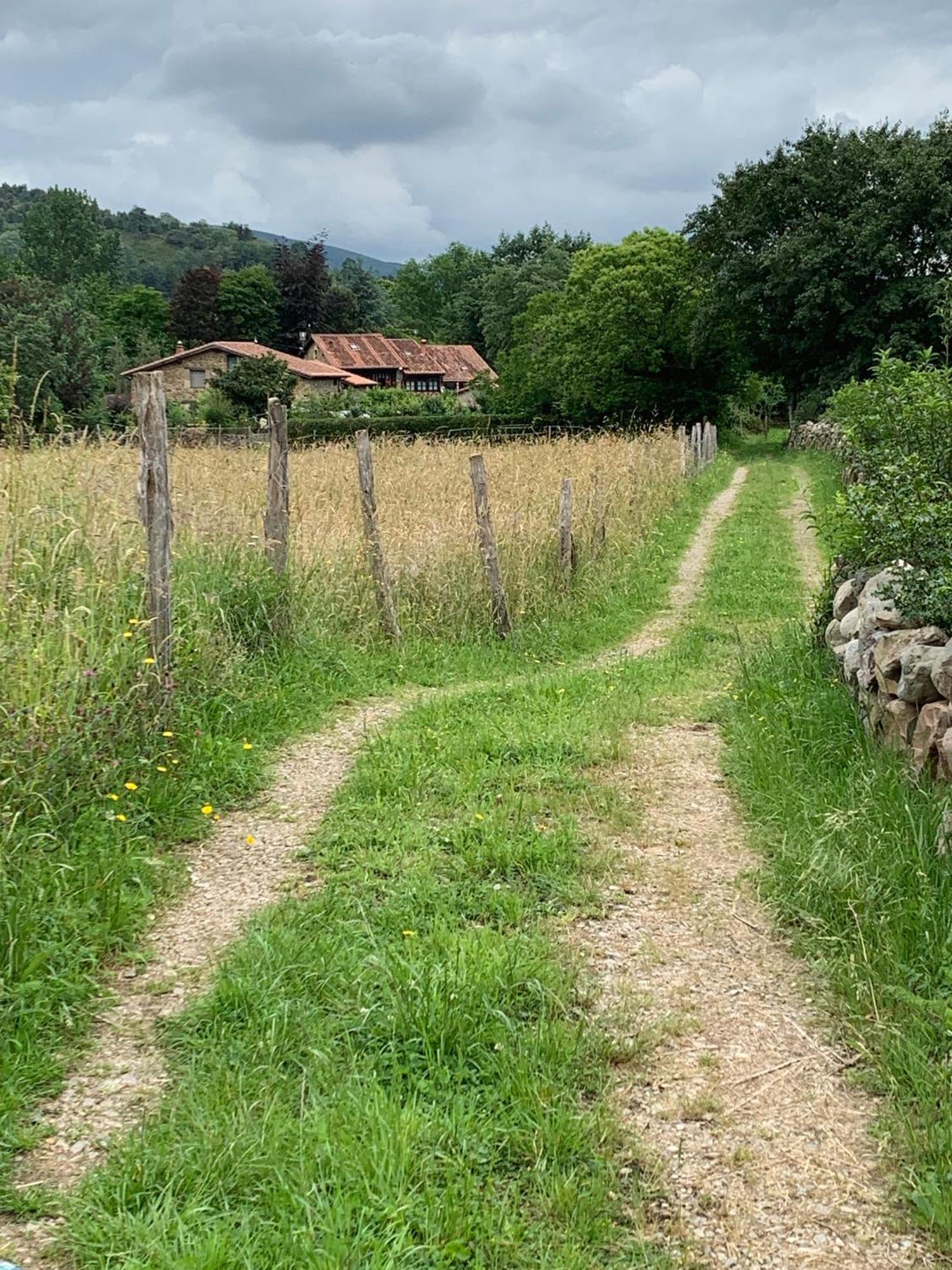 Molino de Renedo a orillas del río Saja Renedo De Cabuerniga Exterior foto
