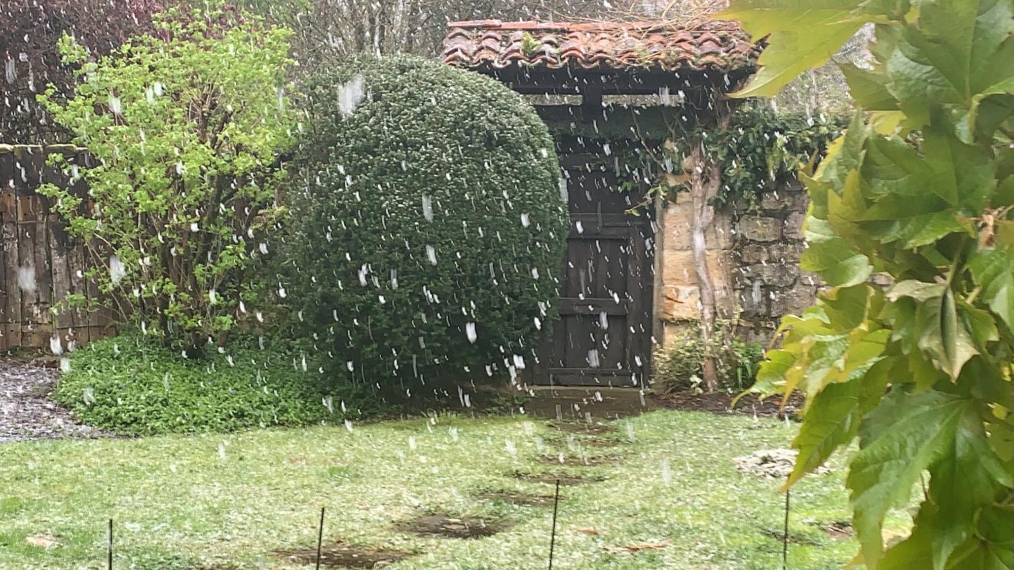 Molino de Renedo a orillas del río Saja Renedo De Cabuerniga Exterior foto